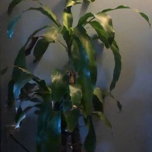 Meet your Posher, Luke